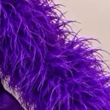 Purple feather swatch